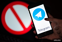 Захарова: Германия объявила войну Telegram