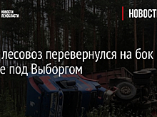 Фото: лесовоз перевернулся на бок в кювете под Выборгом