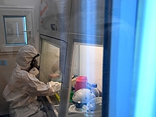 Оценена опасность вспышки чумы в КНР и Монголии для РФ