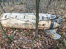 Политолог: Трамп оказывает давление на Россию ракетами ATACMS