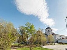 Мэрия предложила горожанам принять участие в благоустройстве Зеленой рощи