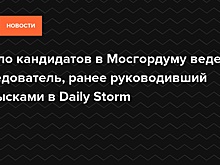 Дело кандидатов в Мосгордуму ведет следователь, ранее руководивший обысками в Daily Storm