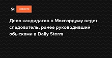 Дело кандидатов в Мосгордуму ведет следователь, ранее руководивший обысками в Daily Storm
