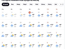 Потепление до +12°C надвигается на Нижний Новгород