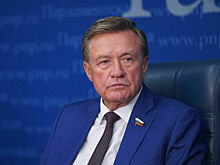 Сенатор Рябухин призвал к усилению контроля качества зарубежного вина