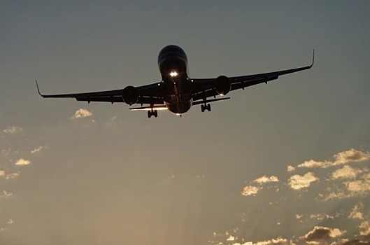 В ГД попросили Минтранс проверить ценообразование в авиакомпаниях из-за билетов без багажа