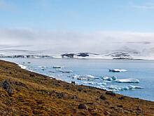 Проект закона о расширении «Арктического гектара» прошел первое чтение