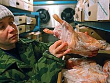 Ввоз продукции трех белорусских предприятий ограничат с 24 мая