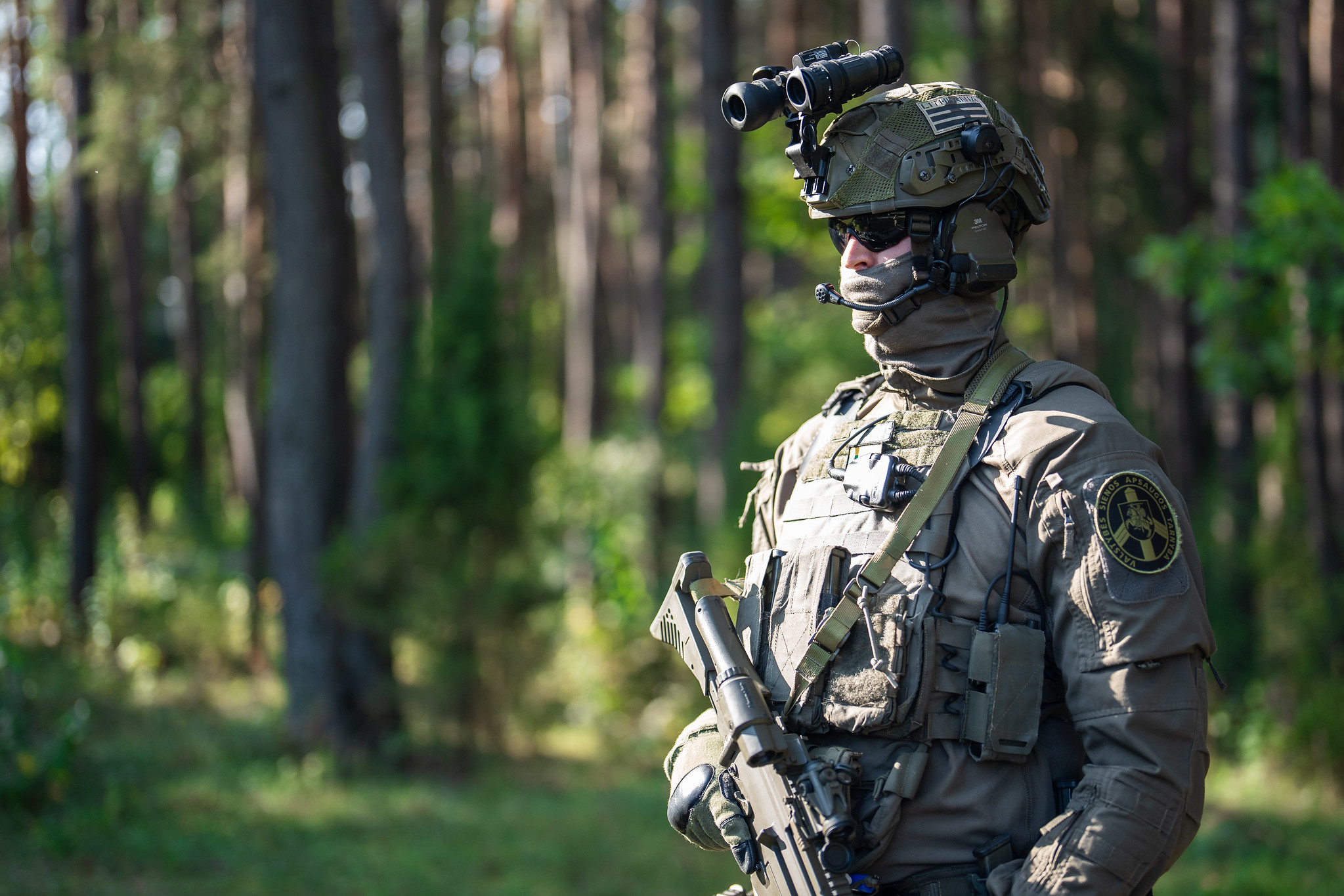 Командующий армией Литвы заявил, что полигоны страны заняты союзниками по НАТО