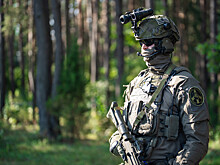 Командующий армией Литвы заявил, что полигоны страны заняты союзниками по НАТО