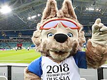 На Кубани завершены основные строительные работы на базах ЧМ-2018