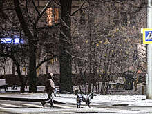 Кадры первого снега опубликовали жители Москвы и Санкт-Петербурга