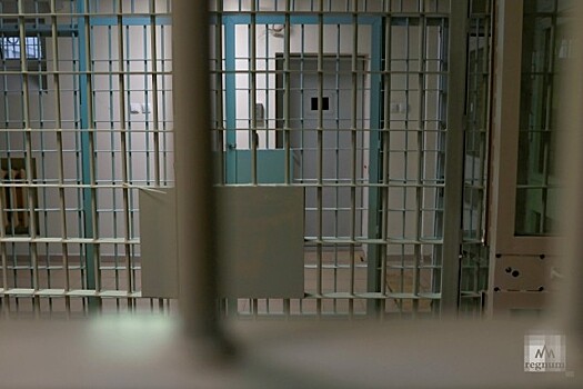 Родителей избитой и брошенной девочки в Петербурге отправили в СИЗО