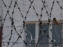 ФБР сообщил о незаконном содержании под стражей в колонии жителя Тамбова Алексея Викторова