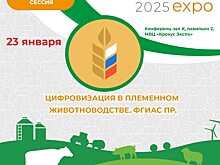 Минсельхоз России проведет разъяснительную сессию о цифровизации в племенном животноводстве