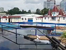 В Севастополе сгорел дельфинарий