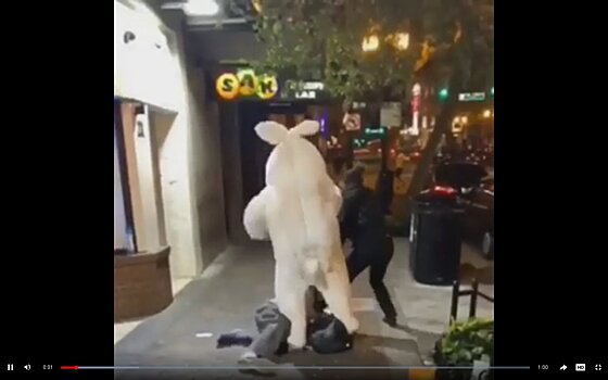 Уличная драка с участием огромного пасхального кролика попала на видео