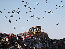 Рекультивацию мусорных полигонов переложат на их владельцев
