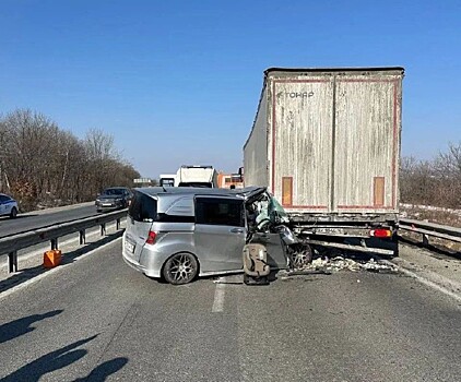 Смертельное ДТП на трассе "Уссури" расследуют в Приморье