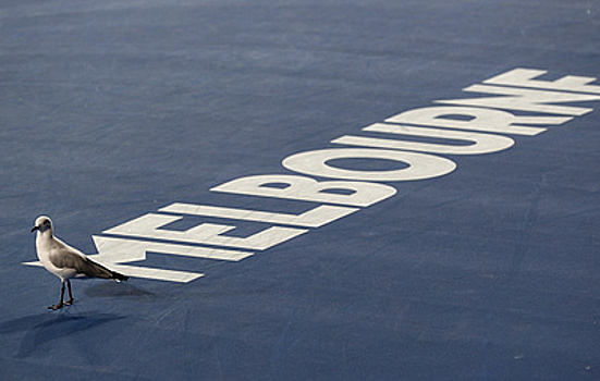 Теннисный матч на турнире в Мельбурне несколько раз прерывали из-за нашествия чаек
