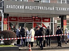 Прокуратура проверит безопасность детей в интернете после стрельбы в Анапе