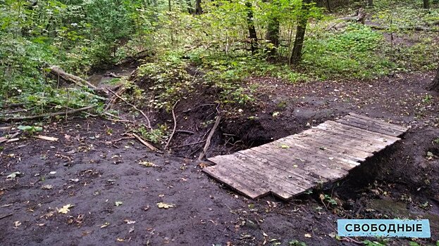 «От вонючки осталось глубокое русло». Жители Юбилейного пытаются превратить Косой овраг в природный парк