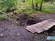«От вонючки осталось глубокое русло». Жители Юбилейного пытаются превратить Косой овраг в природный парк