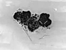 Сброс авиабомбы ФАБ-300 на морпехов ВСУ в Мирнограде сняли на видео