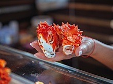 В Калининграде выберут лучший российский стритфуд