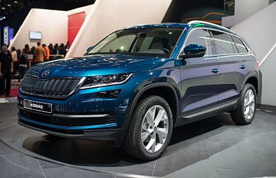 «Хоть дихлофосом обрабатывай!»: Владельцы Skoda жалуются на комаров-паразитов в фонарях