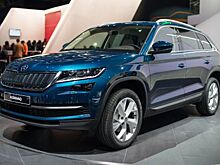 «Хоть дихлофосом обрабатывай!»: Владельцы Skoda жалуются на комаров-паразитов в фонарях