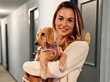 Анна Калинская и её такса Белла произвели фурор на US Open – кто ещё в теннисе продвигает любовь к домашним животным