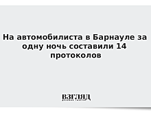 В Барнауле ГИБДД составила 14 протоколов за ночь на одного нарушителя
