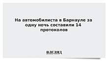 В Барнауле ГИБДД составила 14 протоколов за ночь на одного нарушителя