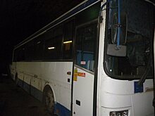 На автостанции Новогиреево с июня запустили два новых автобусных маршрута