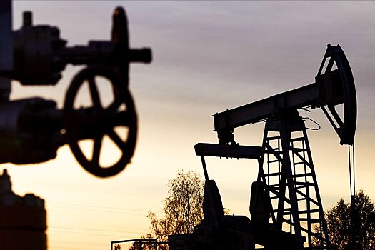 Россия возобновила экспорт нефти в Бразилию после двухлетнего перерыва