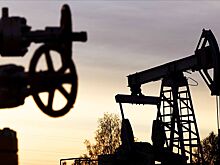 Эксперт Родионов оценил предполагаемый уровень потолков цен для наших нефтепродуктов