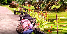 В Ботаническом саду МГУ 28 июля пройдет экскурсия по флоксам