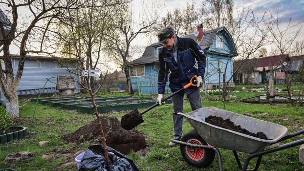 Дачников предупредили о новом налоге