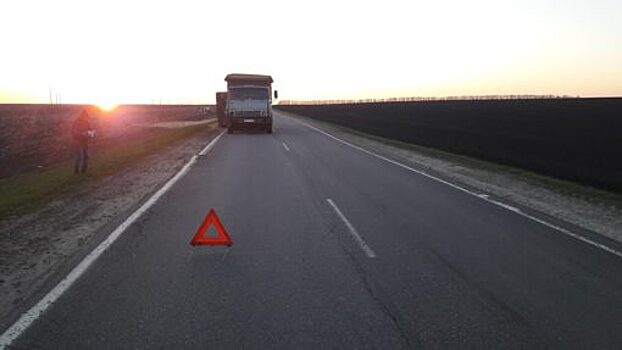 На трассе Глазуновка-Долгое большегруз с прицепом «догнал» Lifan