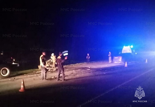Водитель Skoda погиб в лобовом ДТП