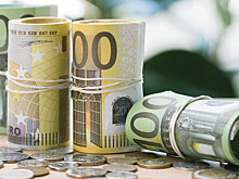 Гоночный голубь из Бельгии продан за 1,6 млн евро