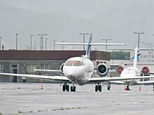 Россиянку, объявленную в международный розыск, задержали в "Домодедово"