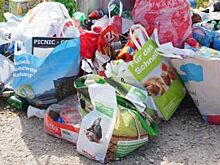 Мусороперерабатывающий завод пока не будут строить в Каменке