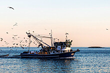 Росрыболовство поддержало идею о пересмотре международных рыболовных договоров