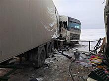 На трассе М-5 под Сызранью столкнулись два большегруза Volvo
