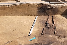 Черепки и 22 могилы: учёные целиком выкопали древнее поселение недалеко от Большевистской