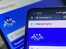 Комитет Госдумы поддержал закон о выборе исполнителя соцзаказа на «Госуслугах»