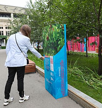 Мосприрода подвела итоги познавательного экоквеста «Дерево знаний»