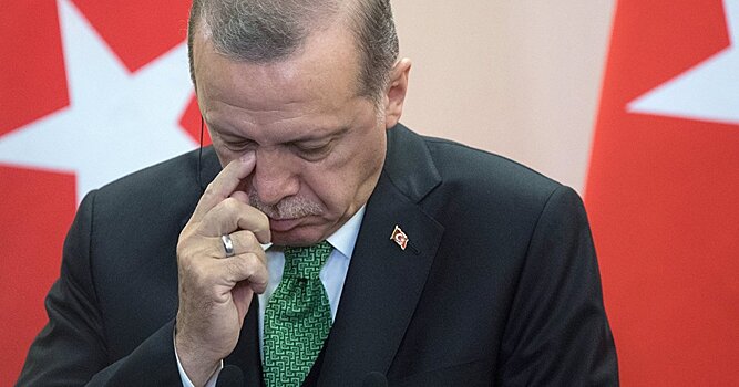 Турецкие читатели: Путин отдерет нашего вождя за уши (En Son Haber)